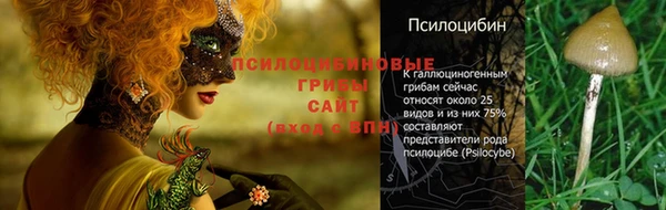 меф Абаза